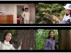 曾是一代国民女神，如今却销声匿迹，这些年她经历了什么–张瑜个人简介