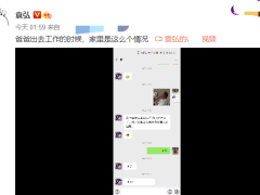 袁弘深夜晒与张歆艺聊天记录，女方事无巨细汇报？2岁儿子太软萌