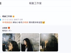 杨紫晒卷发美照，华丽蜕变稳重女强人，五官精致依旧惹人爱