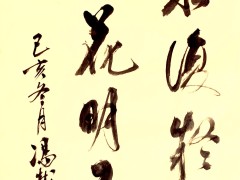 山重水复疑无路的作者是谁(山重水复疑无路作者是谁)