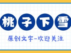 大仲马简介（成也《基督山伯爵》，败也“基督山伯爵”）