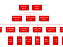 杨子个人资料简介（杨子身价过亿，直播起来却比尖叫鸡都卖力）