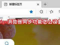 edge浏览器同步功能怎么设置